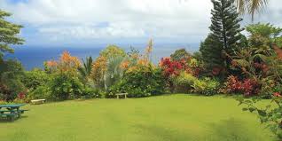 Grassman, first australian manufacturer of synthetic turf, artificial lawn, fake grass for commercial and domestic use in australia. Top 3 Healthy Grass Tips For Hawaii Residents Alii Turf