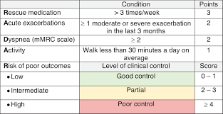 Image result for COPD Exacerbation Decision Tool