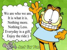 Pin On Garfield The Cat