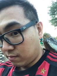 Missing Cockatiel near Pace Christian Academy, FL