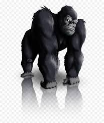 Maybe you would like to learn more about one of these? Gorilla Png Transparent Clipart Image Gorilla Silhouette Beating Chest Gorilla Cartoon Png Free Transparent Png Images Pngaaa Com