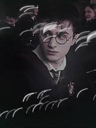 Daniel James Steinhauser