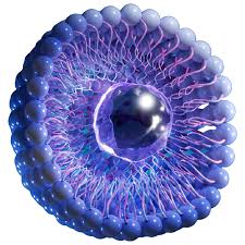 Image result for Sirolimus