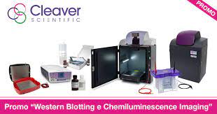 Pacchetto Completo Per Western Blotting E Chemiluminescence Imaging