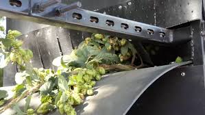 This is lincoln logs oak creek lodge by rainbow resource center on vimeo, the home for high quality videos and the people who love them. Oak Creek Hops Doing Their Part To Provide Hops To Nebraska Brewers Khgi