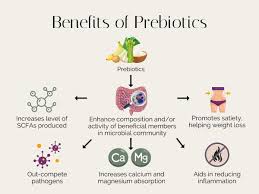 15 Prebiotic Foods for Gut Health - Stephanie Kay Nutrition