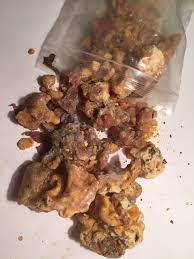 They require daytime temperatures in the '40s and '50s and often produce in april just as maple trees are finishing their sap run. Tree Resins From Eastern North America Harvesting Crafting And Incense Making The Druid S Garden
