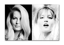 The Big Book of Birds of Britain: John d Green