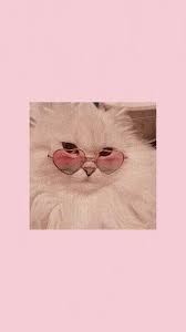 Pin By Asia Cebulska On Wallpapers Pink Wallpaper Backgrounds Cute Cat Wallpaper Cartoon Wallpaper Iphone
