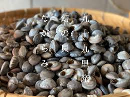 楽天市場 ながらみ ３００ｇ入り ちばの地魚