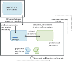 Plant cell culture bioreactors are different from microbial fermenters because of the differences in cellular properties of plants and microbes. Co Culture Systems And Technologies Taking Synthetic Biology To The Next Level Journal Of The Royal Society Interface