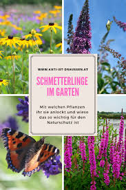 Pin Von Kati Ist Draussen Auf Gemeinsam Im Garten Pflanzen Garten Pflanzen Naturgarten
