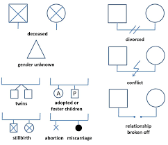 Without a doubt, word 2016 is better. Genogram Definition Origin And Instructions