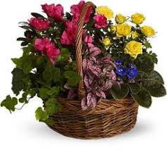 Roger Dale Watson, Sr.