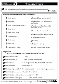 Free printable literacy worksheets ks2. 110 Ks2 Free Science Worksheets And Lesson Starters For Print Whiteboard And Tablets Circulation Teaching Resources