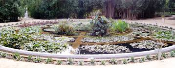 Bot garten from botanischer garten palermo. Datei Aquarium03 Orto Botanico Palermo Jpg Wikipedia