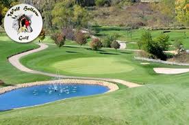 20 For 18 Holes With Cart And Range Balls At Wolf Hollow Golf Club In Lena Near Rockford Illinois Golf Courses Golf Discount Golf
