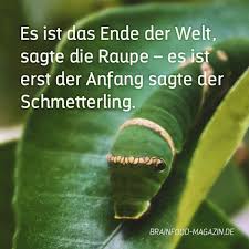 Brain Food Von Der Raupe Zum Schmetterling Schmetterling Zitate Raupe Zitate Geburtstagswunsche Zitate