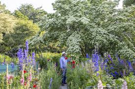 Im garten leben eine ganze reihe an tieren. Garten Von Manfred Lucenz Und Klaus Bender