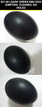 Bird Eggs For Sale Ebay Blown Eggs 116639 Dark Green Emu Egg Emptied Cleaned No Hole Buy It Now Only 21 99 On Ebay Blown Green Emu Egg Blown Eggs Easter Egg Art