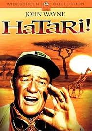 Hatari!