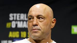 Joe Rogan, Trump fan, slams 'horrific' immigration crackdown: 'People are  being lassoed up and deported'