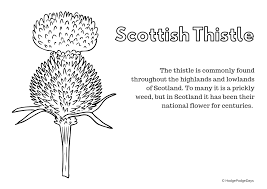 Take a deep breath and relax with these free mandala coloring pages just for the adults. Free Printables Learning About Scotland Hodgepodgedays