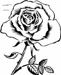 Gratis untuk komersial tidak perlu kredit bebas hak cipta. Paling Populer 15 Gambar Bunga Mawar Yg Mudah Digambar Sketsa Bunga Sketsa Gambar Bunga Mawar Merah 6000 Gambar Bunga Rose Wallpaper Wallpaper Wa Black Rose