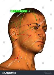 Acupuncture Point Gb13 Benshen 3d Illustration Stock Illustration  1057471880