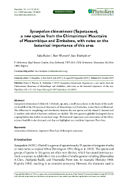 Image result for Synsepalum muelleri