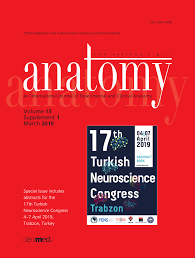 Adamın soğuktan maçta kulakları patlamıştı mk dkkgkskfkd. Pdf Effects Of Chronic Irisin Administration On Body Weight And Reproductive Organ Weights In Rats