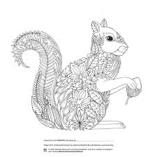 Free Printable Coloring Pages For Adults 12 More Designs Everythingetsy Com Enchanted Forest Coloring Squirrel Coloring Page Enchanted Forest Coloring Book