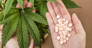 「オピオイド」の画像検索結果