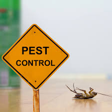 Check spelling or type a new query. Blog Pest Control Services In Ga Progressive Pest