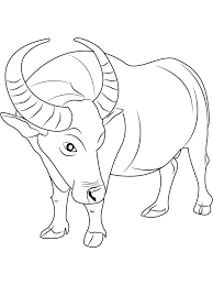 Buffalo Coloring Pages To Pdf Buffalo Is A Cattle Mammal Inhabit Many Lands In The World Especially A Animal Coloring Pages Wild Bull Football Coloring Pages