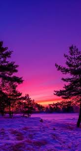 Birresimkaydet Saveanimage Barissenduran Resim Kaydet Beautiful Nature Wallpaper Amazing Nature Photography Nature Photography