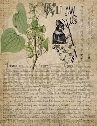 Witchcraft Printable Grimoire Herbal Pages Book Of Shadows Etsy Herbal Magic Magickal Herbs Magic Herbs