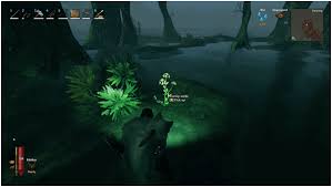 Then like and comment to help me out rank t. Where To Get Turnip Seeds In Valheim Progametalk