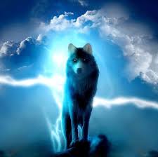 Epic Galaxy Wolf Wallpaper Gif Novocom Top Assassins of kings, the witcher 3: epic galaxy wolf wallpaper gif