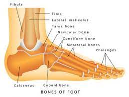 What happens after ankle surgery? Your Broken Ankle Recovery Time Treatment Surgery