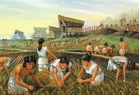 Pada sawah irigasi piihan cara penanaman padi lebih banyak dengan potensi hasil yang tentu lebih besar dibandingkan dengan tanah tegalan. Rangkuman Lengkap Zaman Neolitikum Masanya Food Producing