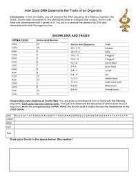 How Dna Determines Traits Liberty Union High School District