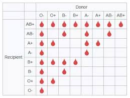 Can A Person With A Blood O Type Receive Ab Blood Quora