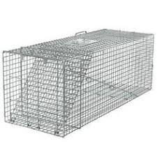 Product titlevictor tin cat multiple catch animal trap for mice. 9 Cat Trap Ideas Cat Traps Traps Cats