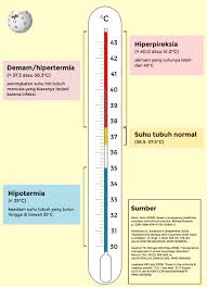Suhu normal bayi cenderung lebih tinggi daripada anak yang berusia lebih tua, karena metabolismenya yang lebih cepat. Wikipedia Bahasa Indonesia On Twitter Pada Suhu Tubuh Manusia Terdapat Berbagai Istilahnya Sendiri Kenali Dan Periksakan Diri Anda Ke Dokter Apabila Suhu Tubuh Tidak Normal Https T Co 0y1nx3z8as