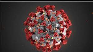 Just Seven Covid Cases In South Zone As Provincial Vaccines Surpass 3m Lethbridge News Now