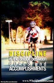 Pin On Cycling Quotes