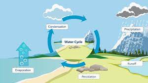 The water cycle is the journey water takes as it moves from the land to the sky and back again. Water Cycle Process Hydrological Cycle Water Cycle Explanation Youtube
