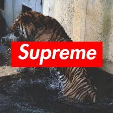 Supreme Iphone 6 Wallpaper Posted By Michelle Walker Mobile Legends