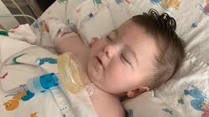 Fundraiser by Alyssa Farley : Maverick's Adventure